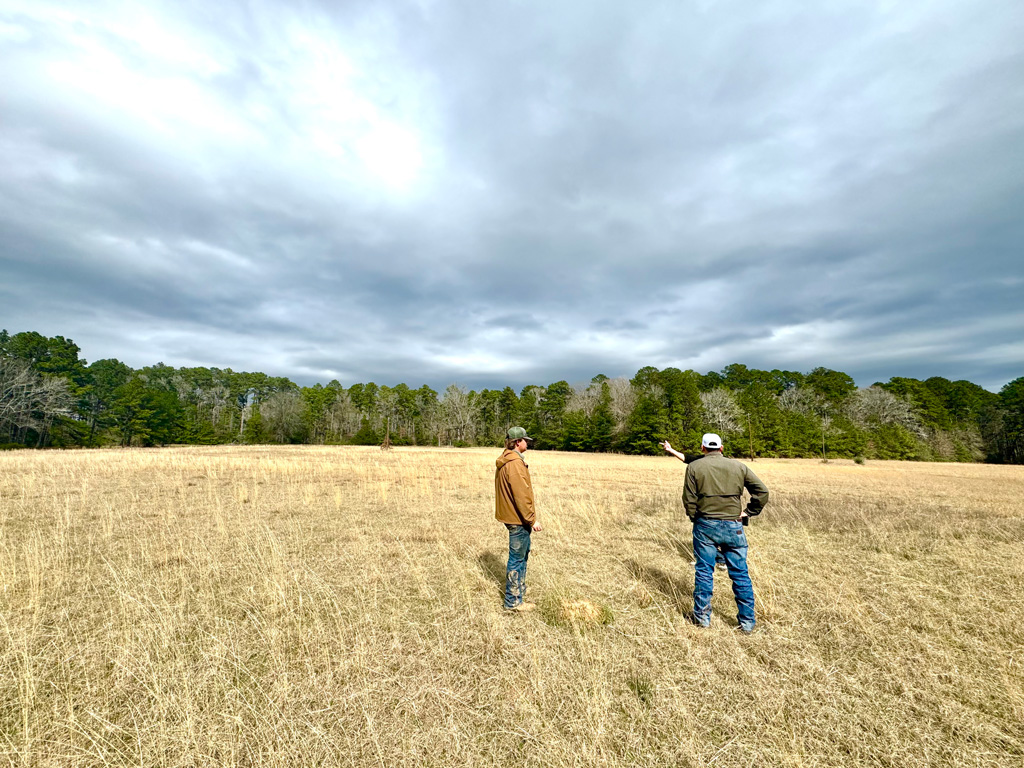 Jake Crawford of JB Crawford Construction, custom home builder in East Texas, surveys land for a new home build.